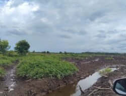 DKP Sulbar  Siapkan Lahan 1.000 Hektare Untuk Pengembagan Sektor Perikanan 