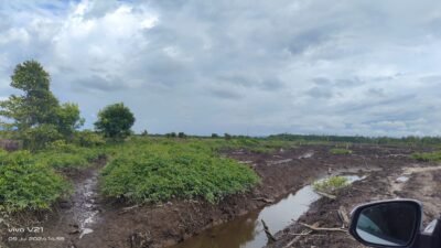 DKP Sulbar  Siapkan Lahan 1.000 Hektare Untuk Pengembagan Sektor Perikanan 