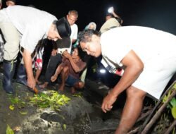 Peduli Nelayan, Kadis DKP Sulbar Tebar Ribuan Bibit Kepiting bakau
