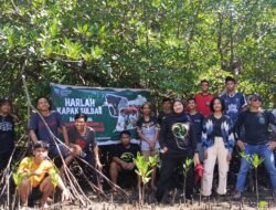 Milad XVI, KPA KAPAK Sulbar Tanam 2000 Pohon Mangrove
