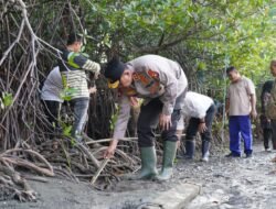 Kapolda Sulbar Hadiri Pelepasan Ribuan Anak Kepiting di Sumare, Dorong Pelestarian Ekosistem Mangrove