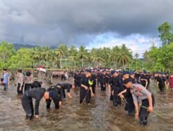Satuan Brimob Polda Sulbar Tanam Puluhan Ribu Pohon Mangrove Untuk Wujudkan Semangat Kemerdekaan dan Dukung Pelestarian Lingkungan